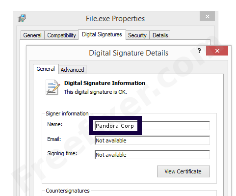 Screenshot of the Pandora Corp certificate